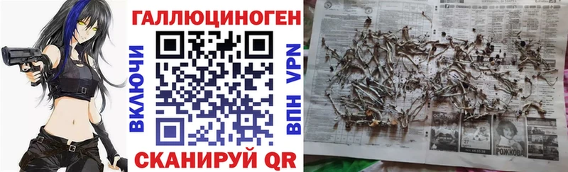 мориарти как зайти  OMG зеркало  Галлюциногенные грибы прущие грибы  Звенигово  где купить наркотик 